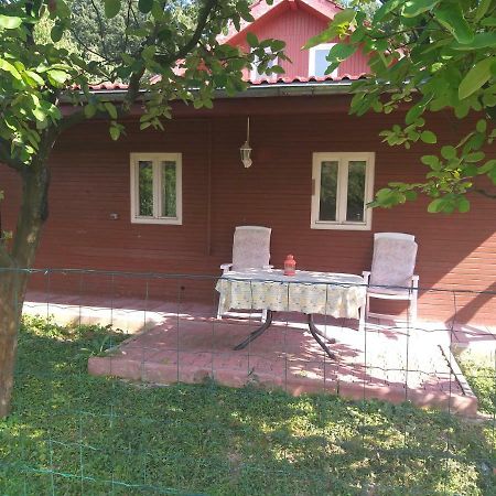 Rustic Country House In Snagov Apartment Екстериор снимка