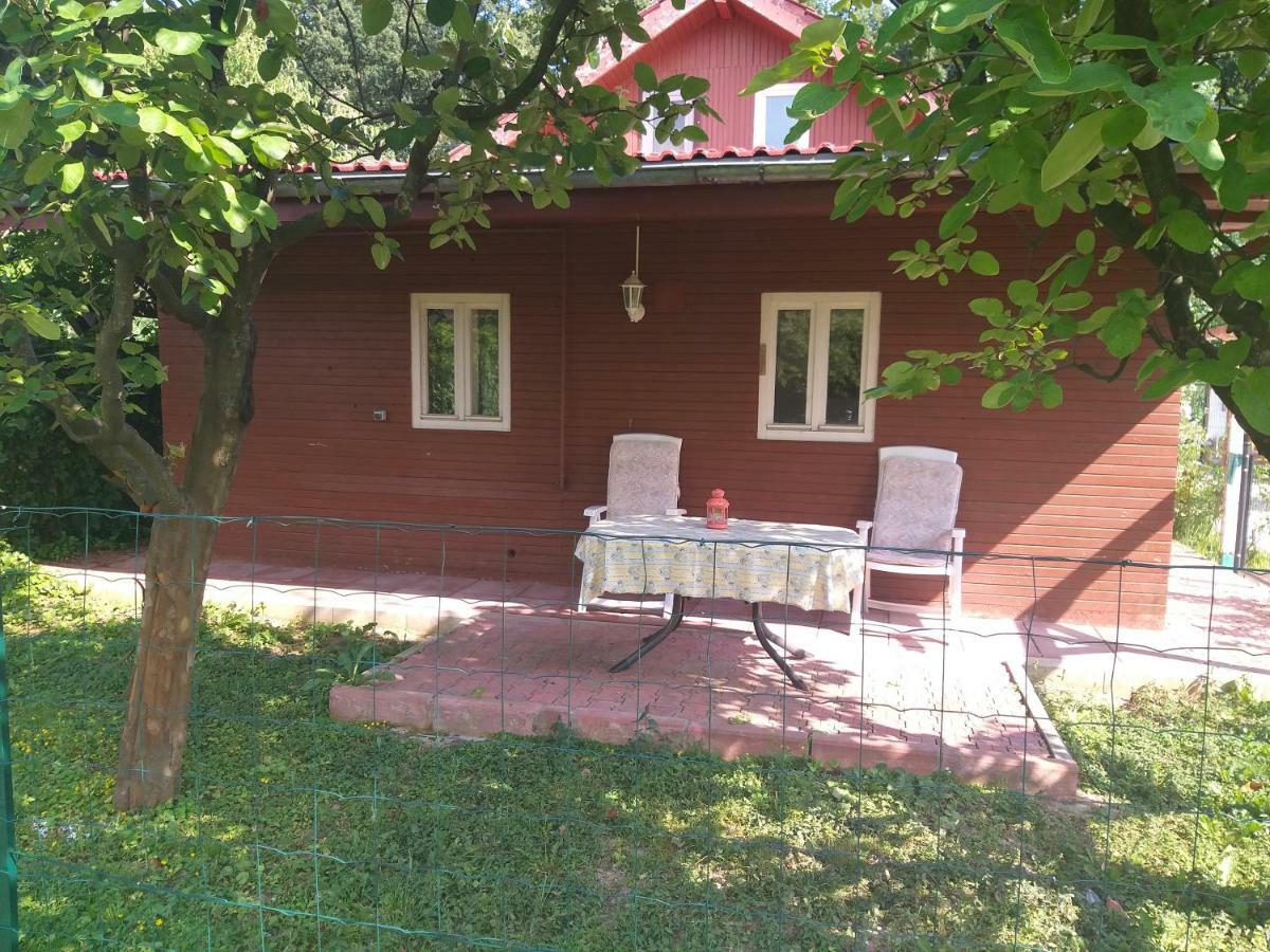Rustic Country House In Snagov Apartment Екстериор снимка