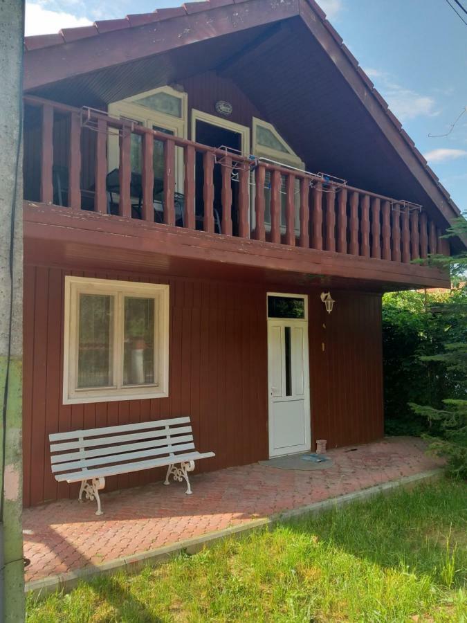 Rustic Country House In Snagov Apartment Екстериор снимка